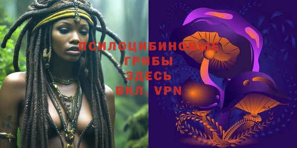 молекула духа Армянск