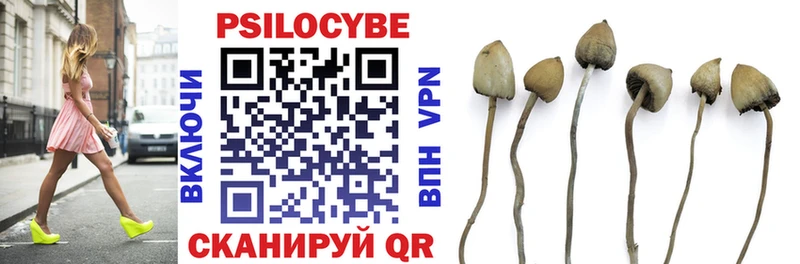 Псилоцибиновые грибы Psilocybe  kraken сайт  Тетюши 